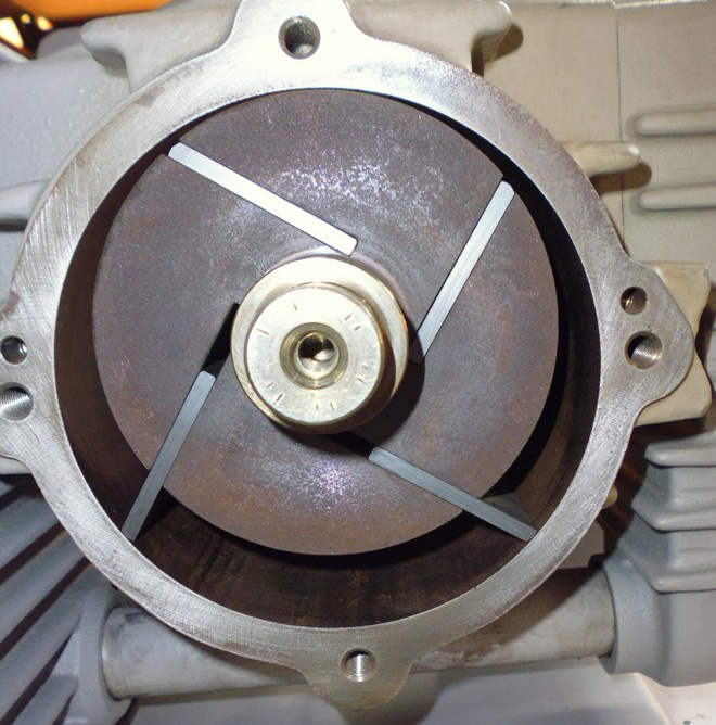 DST dry-running rotary vane vacuum pump with cover removed showing rotor, carbon vanes and cylinder wall